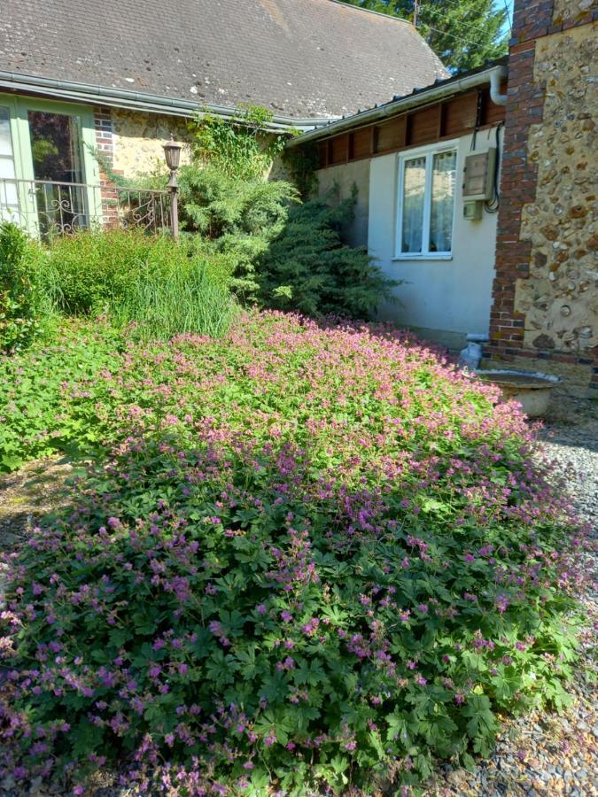 Chez Noelle Panzió Illiers-Combray Kültér fotó